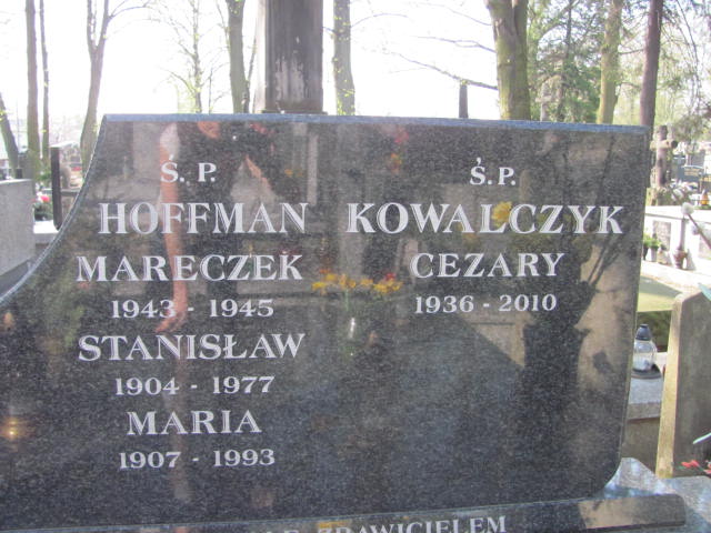  Hofman 1943 Częstochowa - Grobonet - Wyszukiwarka osób pochowanych