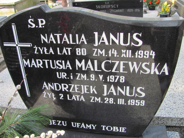  Janus 1914 Częstochowa - Grobonet - Wyszukiwarka osób pochowanych