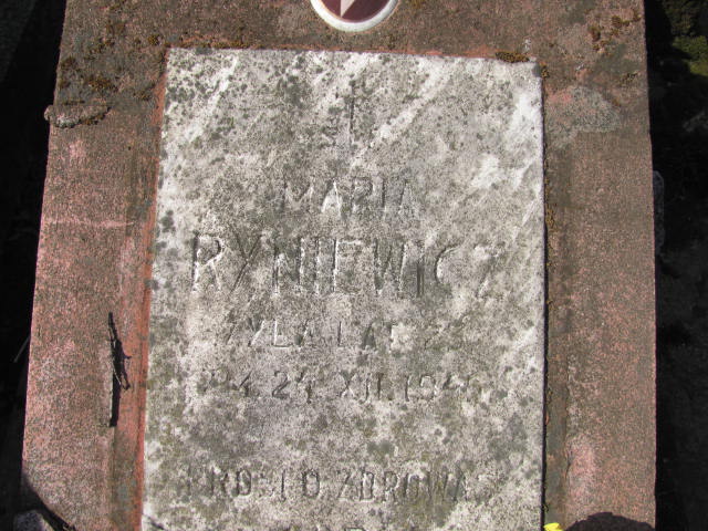  Ryniewicz Częstochowa - Grobonet - Wyszukiwarka osób pochowanych