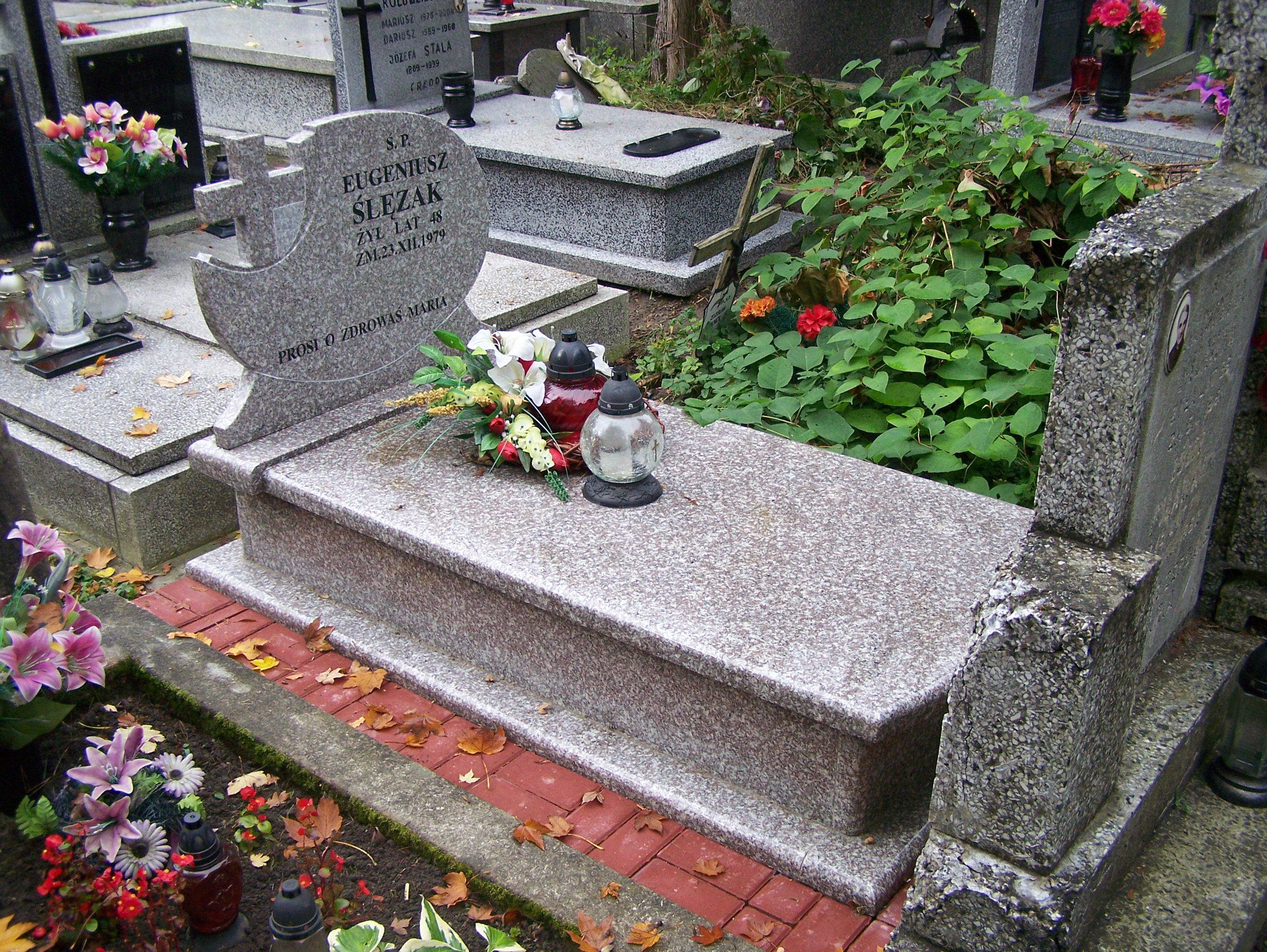  Ślęzak 1931 Częstochowa - Grobonet - Wyszukiwarka osób pochowanych