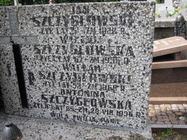  Szczygłowski Częstochowa - Grobonet - Wyszukiwarka osób pochowanych