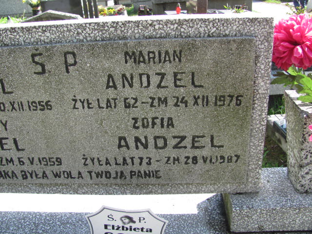  Andzel 1914 Częstochowa - Grobonet - Wyszukiwarka osób pochowanych