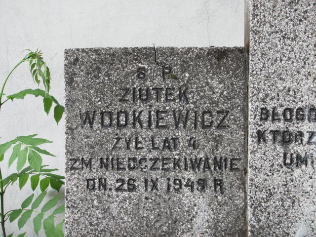  Wódkiewicz Częstochowa - Grobonet - Wyszukiwarka osób pochowanych