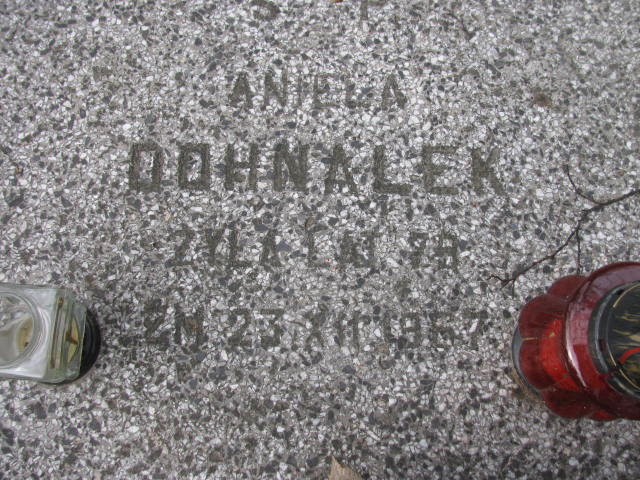  Dohnalek Częstochowa - Grobonet - Wyszukiwarka osób pochowanych