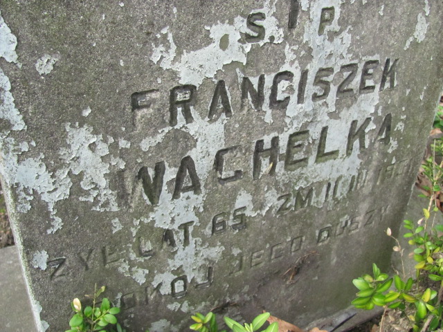  Wachelka Częstochowa - Grobonet - Wyszukiwarka osób pochowanych