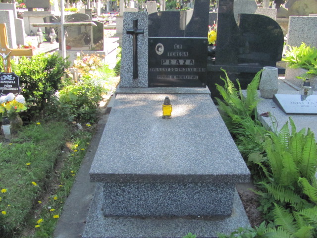 Grób Teresa Płaza