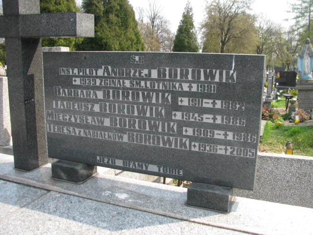  Borowik 1909 Częstochowa - Grobonet - Wyszukiwarka osób pochowanych