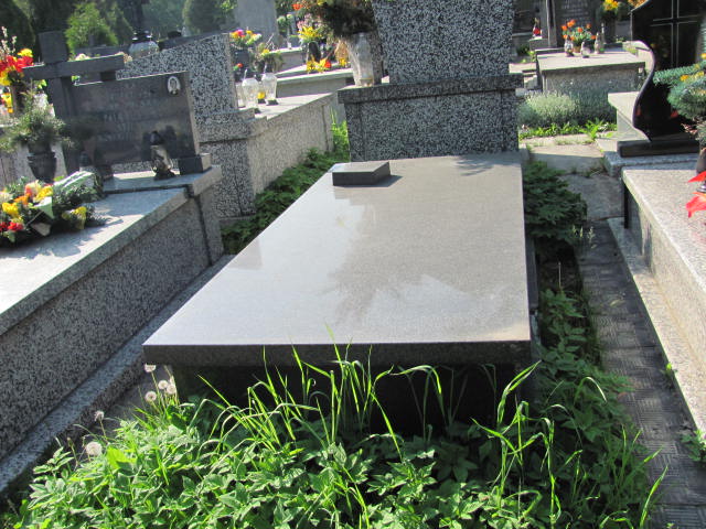  Kaczmarek 1918 Częstochowa - Grobonet - Wyszukiwarka osób pochowanych