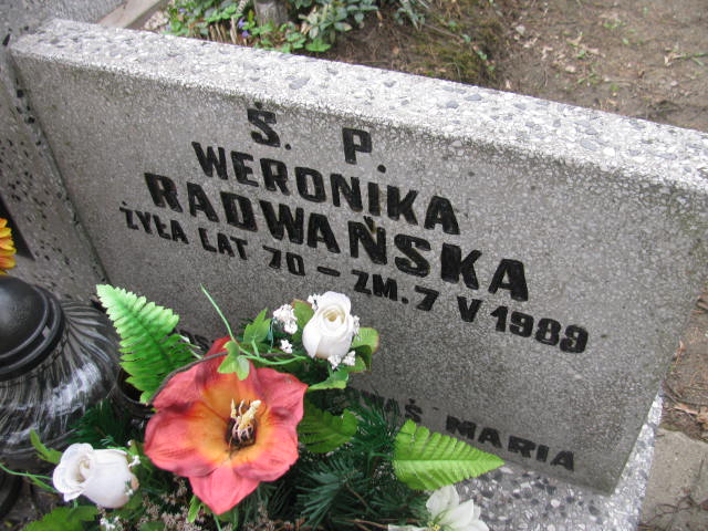  Radwańska 1919 Częstochowa - Grobonet - Wyszukiwarka osób pochowanych