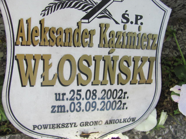 Łukasz Kalka 1984 Częstochowa - Grobonet - Wyszukiwarka osób pochowanych