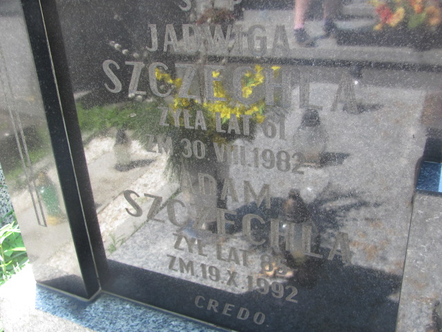  Szczechla 1907 Częstochowa - Grobonet - Wyszukiwarka osób pochowanych