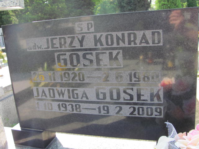  Gosek 1960 Częstochowa - Grobonet - Wyszukiwarka osób pochowanych