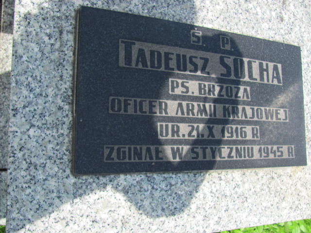  Socha 1924 Częstochowa - Grobonet - Wyszukiwarka osób pochowanych