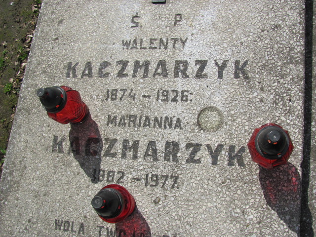  Kaczmarzyk 1882 Częstochowa - Grobonet - Wyszukiwarka osób pochowanych