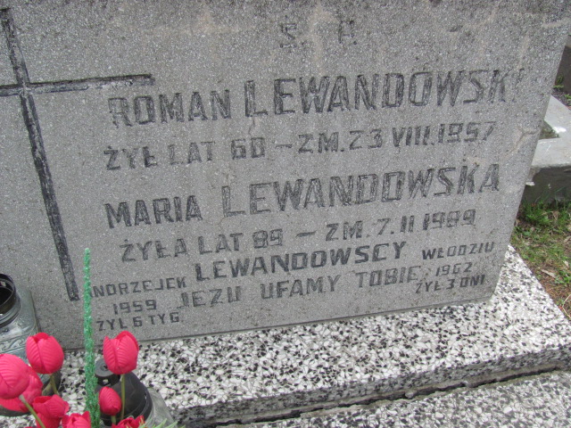  Lewandowska 1900 Częstochowa - Grobonet - Wyszukiwarka osób pochowanych