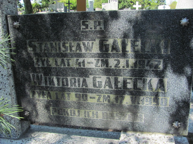  Bieniek 1946 Częstochowa - Grobonet - Wyszukiwarka osób pochowanych