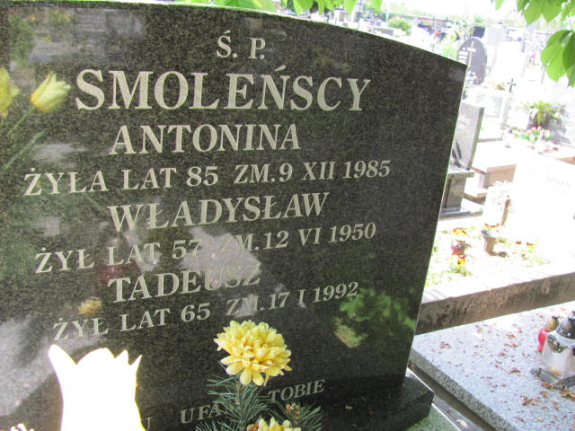  Smoleńska 1900 Częstochowa - Grobonet - Wyszukiwarka osób pochowanych