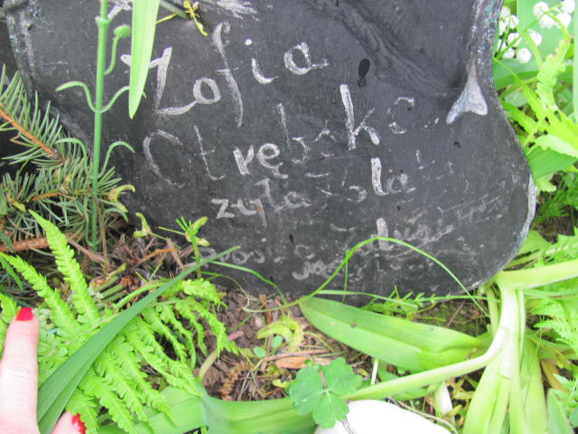 Zofia Otrębska Częstochowa - Grobonet - Wyszukiwarka osób pochowanych