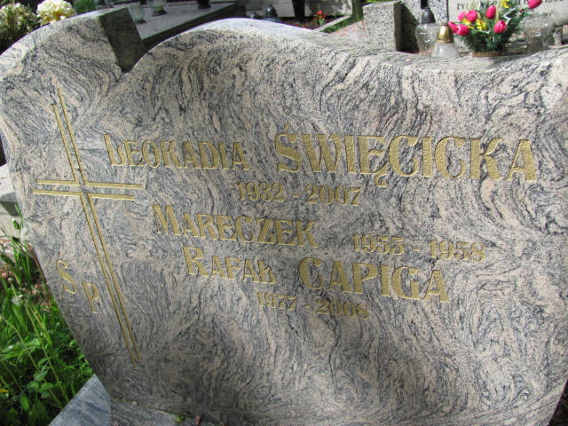  Święcicki 1955 Częstochowa - Grobonet - Wyszukiwarka osób pochowanych