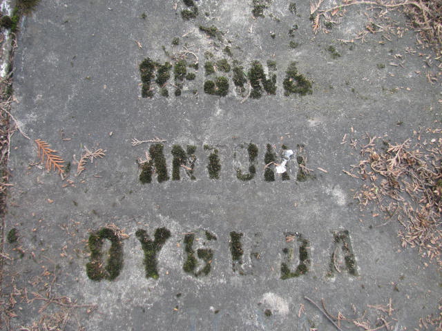 Antoni Dyguda 1895 Częstochowa - Grobonet - Wyszukiwarka osób pochowanych