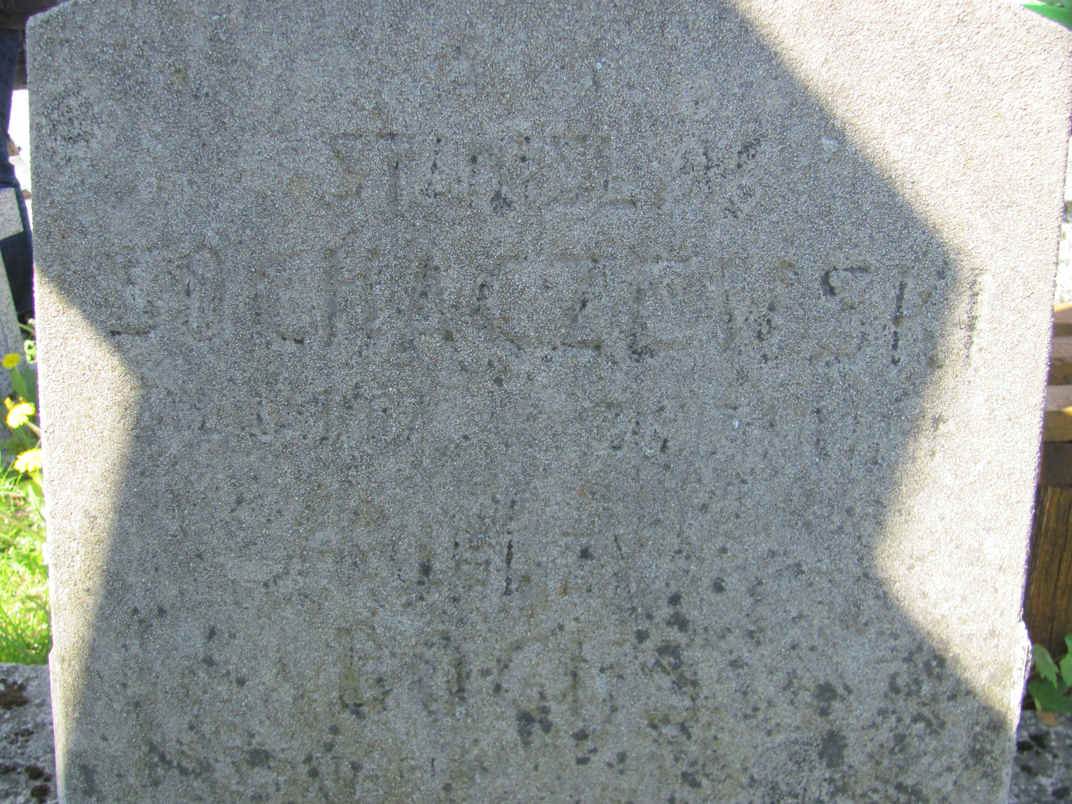  Bogus 1947 Częstochowa - Grobonet - Wyszukiwarka osób pochowanych