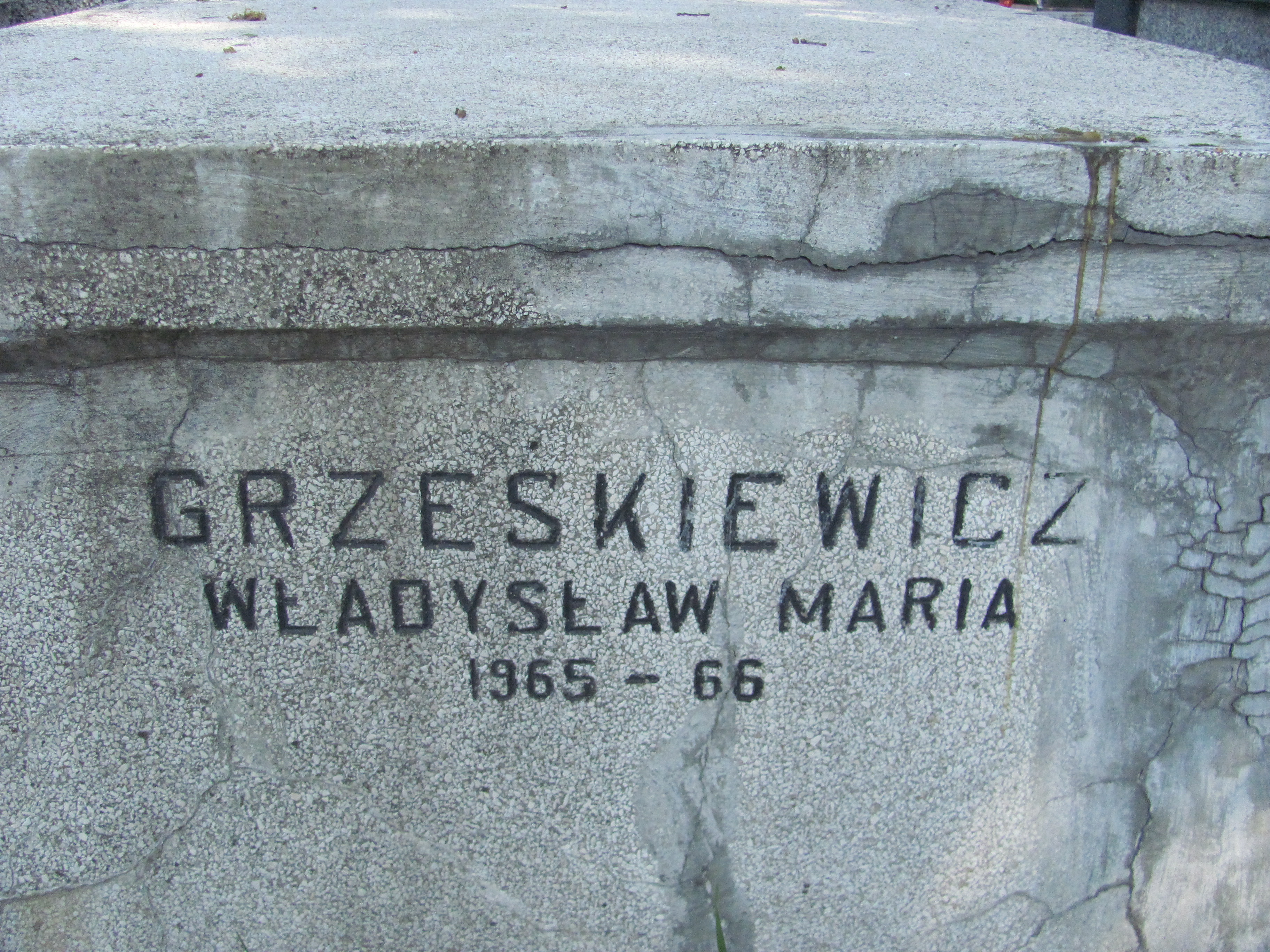  Grześkiewicz Częstochowa - Grobonet - Wyszukiwarka osób pochowanych