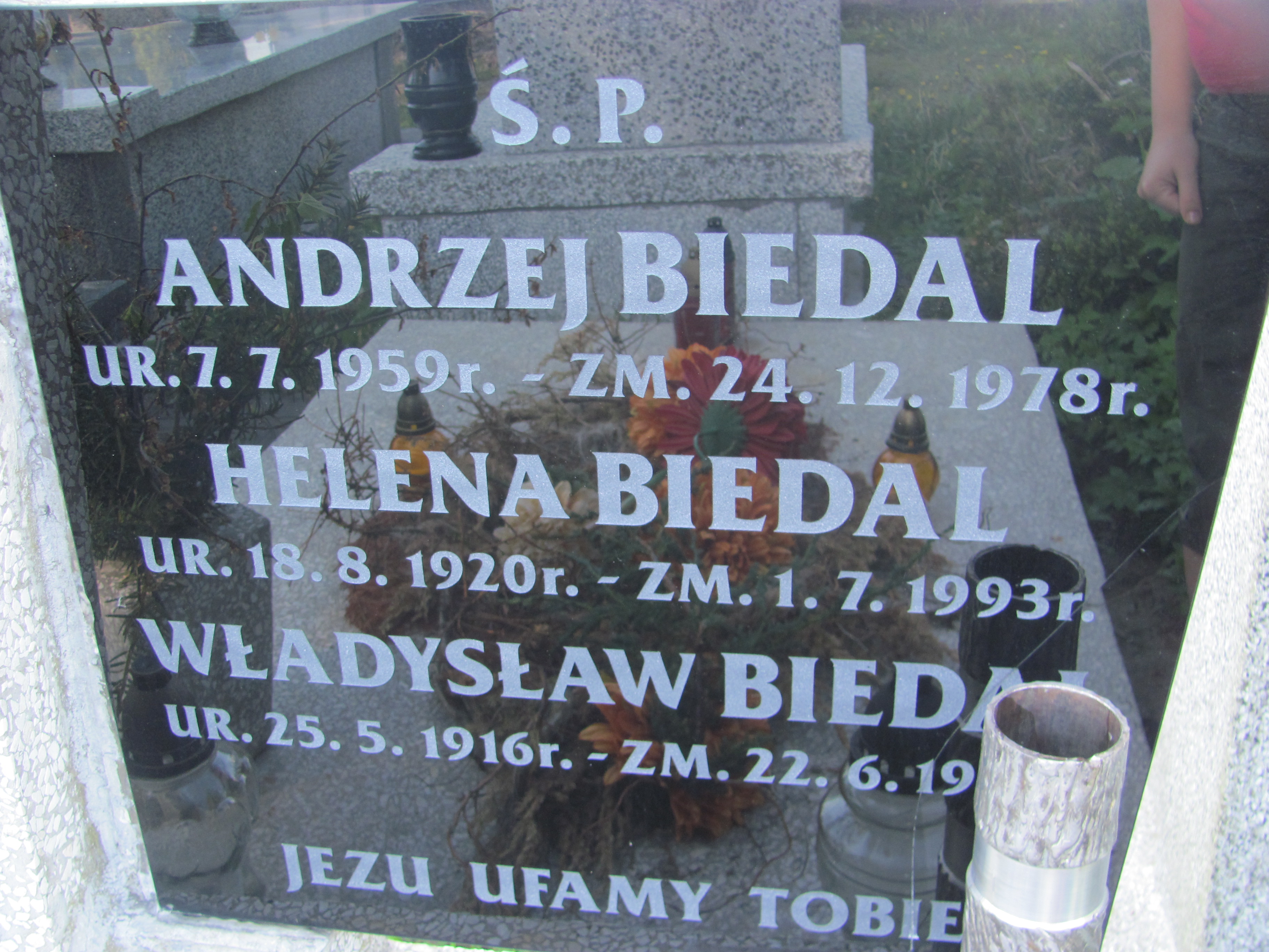  Biedal 1959 Częstochowa - Grobonet - Wyszukiwarka osób pochowanych