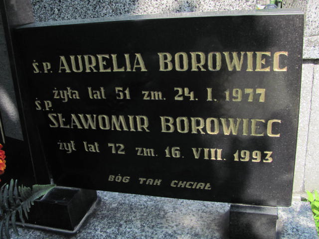  Borowiec 1921 Częstochowa - Grobonet - Wyszukiwarka osób pochowanych