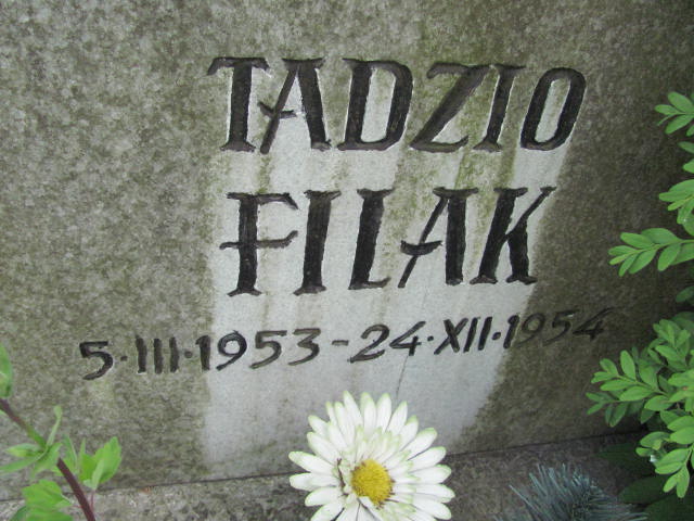  Filak 1953 Częstochowa - Grobonet - Wyszukiwarka osób pochowanych