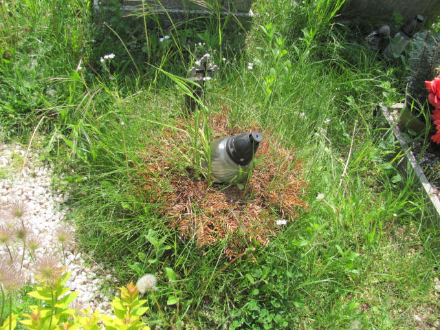  Kokot 1987 Częstochowa - Grobonet - Wyszukiwarka osób pochowanych