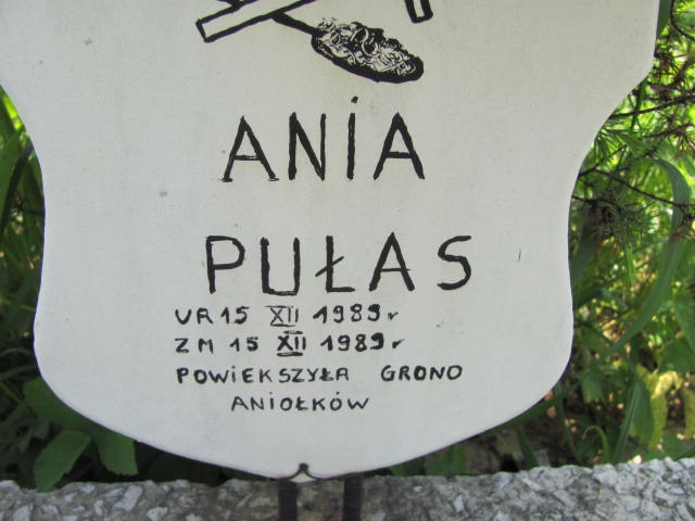  Pułas 1989 Częstochowa - Grobonet - Wyszukiwarka osób pochowanych