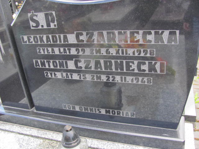  Czarnecki Częstochowa - Grobonet - Wyszukiwarka osób pochowanych
