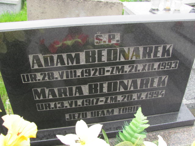  Bednarek 1920 Częstochowa - Grobonet - Wyszukiwarka osób pochowanych