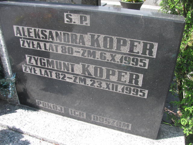  Koper 1913 Częstochowa - Grobonet - Wyszukiwarka osób pochowanych