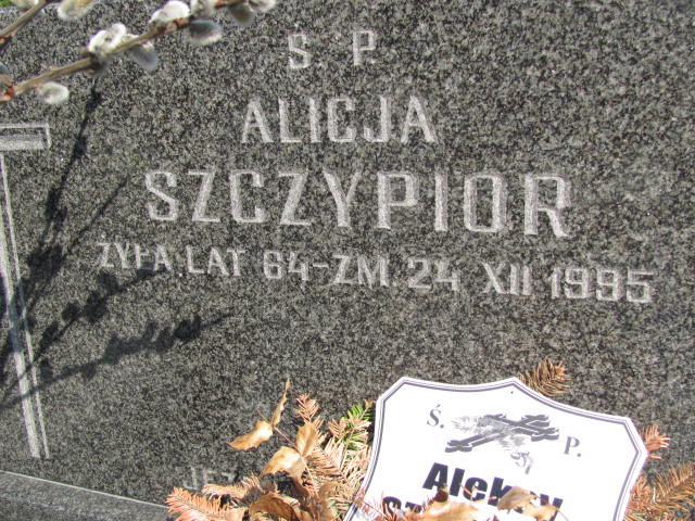  Szczypior 1931 Częstochowa - Grobonet - Wyszukiwarka osób pochowanych