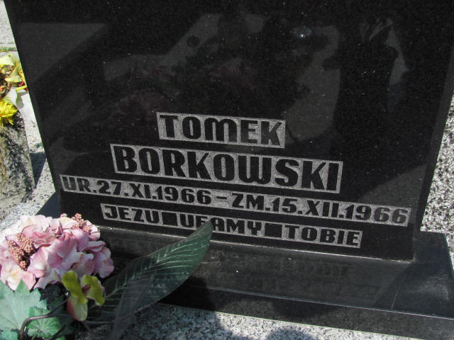  Borkowski 1966 Częstochowa - Grobonet - Wyszukiwarka osób pochowanych