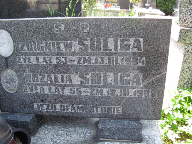 Suliga 1953 Częstochowa - Grobonet - Wyszukiwarka osób pochowanych