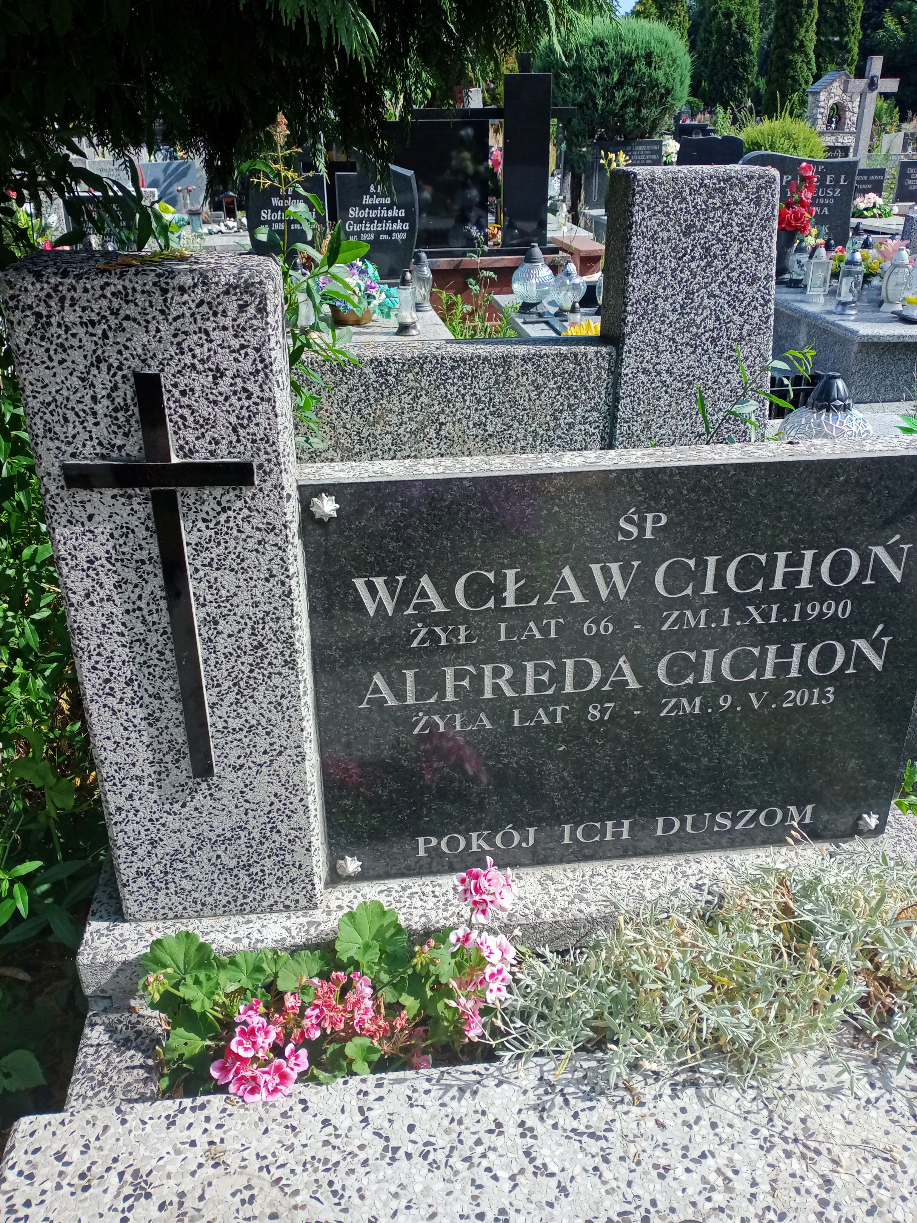  Cichoń 1925 Częstochowa - Grobonet - Wyszukiwarka osób pochowanych