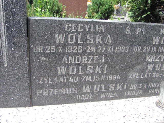  Wolski 1917 Częstochowa - Grobonet - Wyszukiwarka osób pochowanych