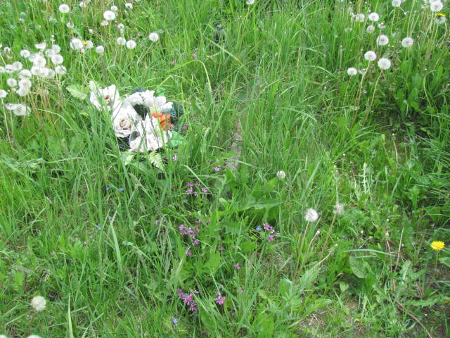  Biernacki 1941 Częstochowa - Grobonet - Wyszukiwarka osób pochowanych