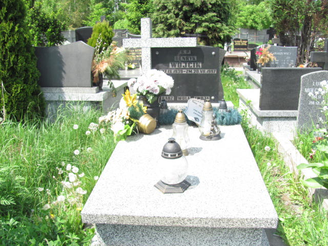 Grób Henryk Wójcik