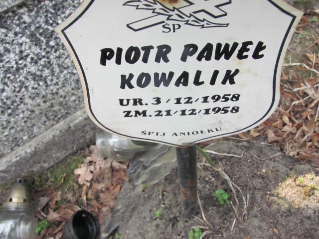  Kowalik 1958 Częstochowa - Grobonet - Wyszukiwarka osób pochowanych